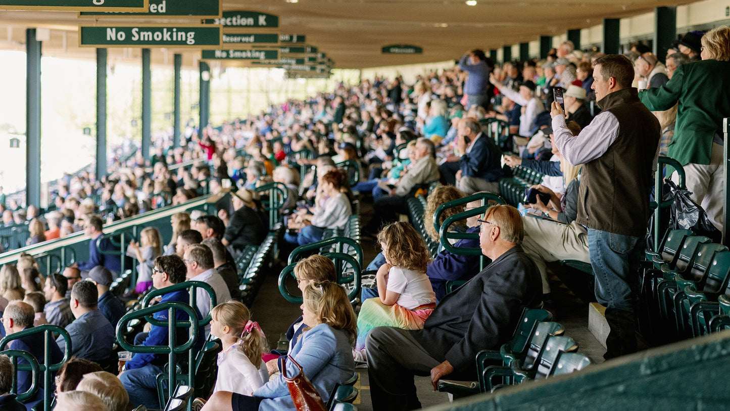 Chasing Liberty | G3 Transylvania at Keeneland