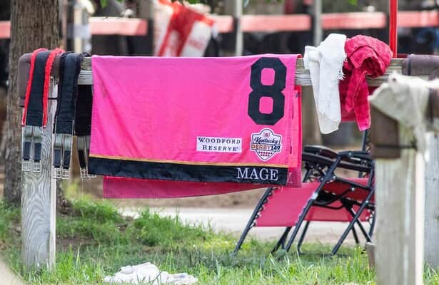 Mage | Kentucky Derby Winning Saddle Cloth Replica